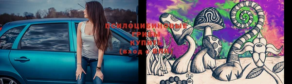 Альфа ПВП Вязники