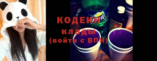 apvp Вяземский