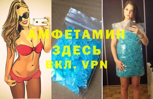 apvp Вяземский