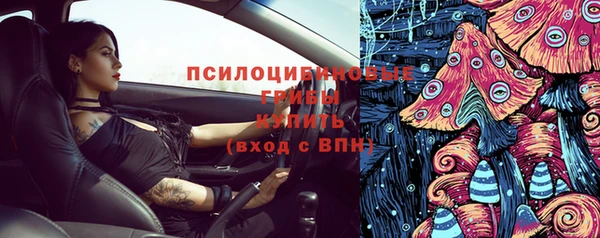 apvp Вяземский
