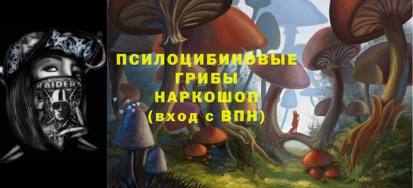apvp Вяземский