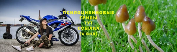 Альфа ПВП Вязники